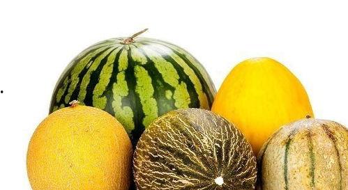 随便吃瓜有什么好处